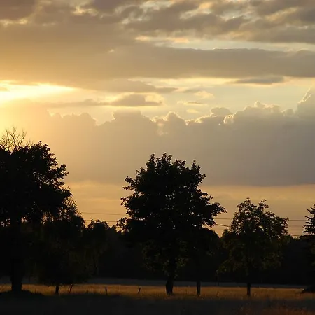 דירה Ptaci Dum *