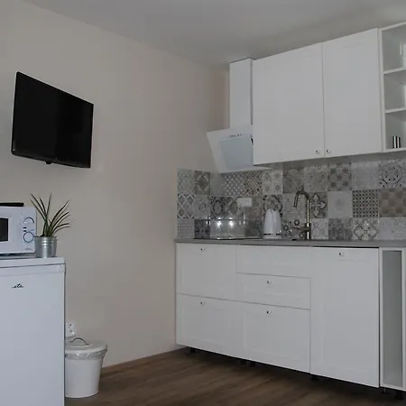 Ptaci Dum Apartment *