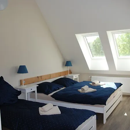 Apartment Ptaci Dum